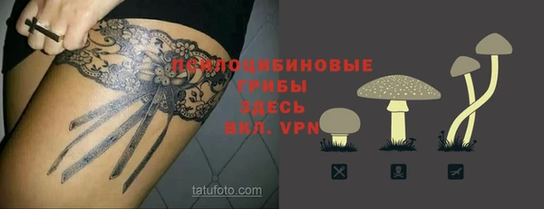 шишки Алексеевка