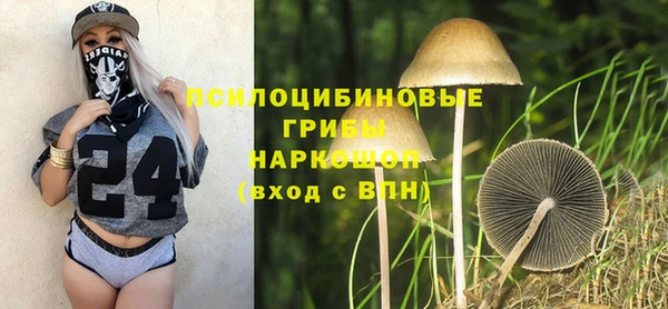 шишки Алексеевка