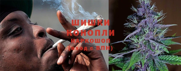 шишки Алексеевка