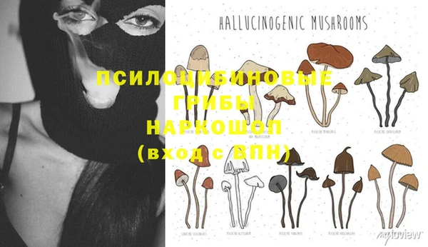 шишки Алексеевка