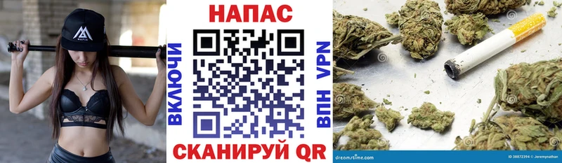 Конопля Bruce Banner  Ардон 